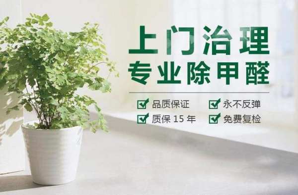 除甲醛公司：打造健康家居环境